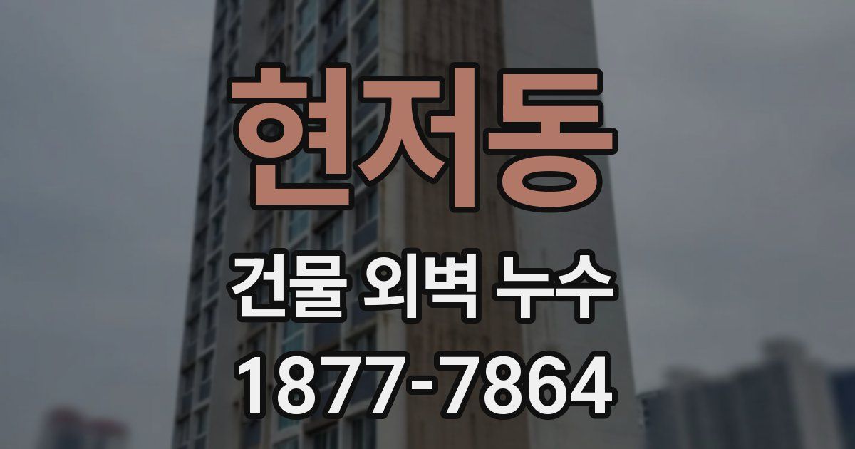 현저동 건물 외벽 누수