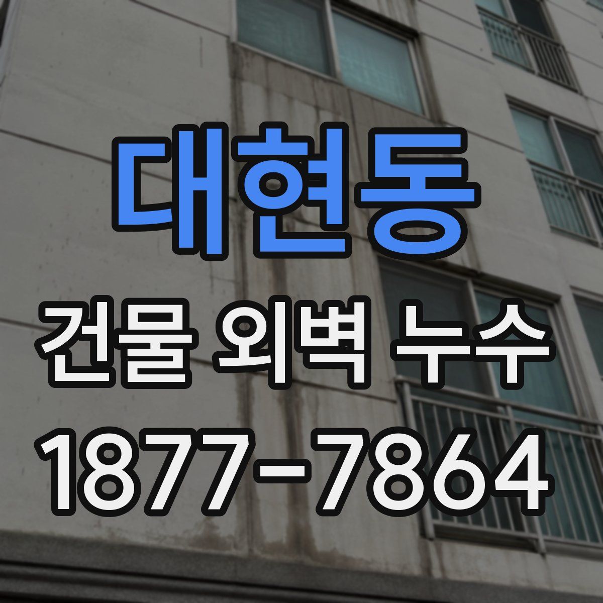 대현동 건물 외벽 누수