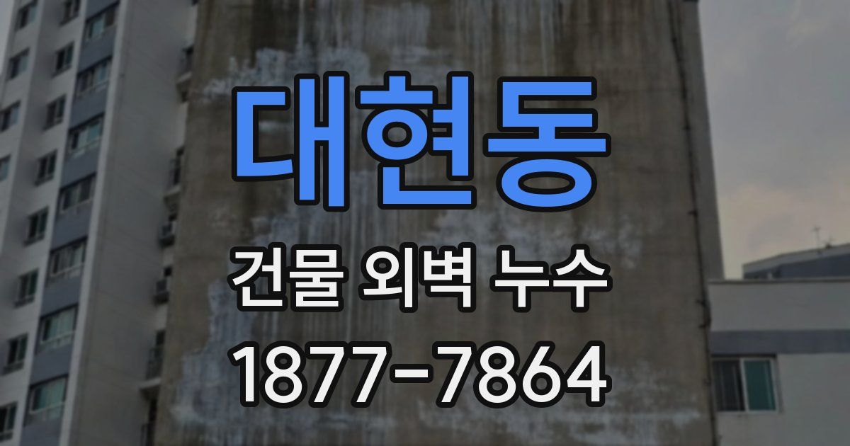 대현동 건물 외벽 누수