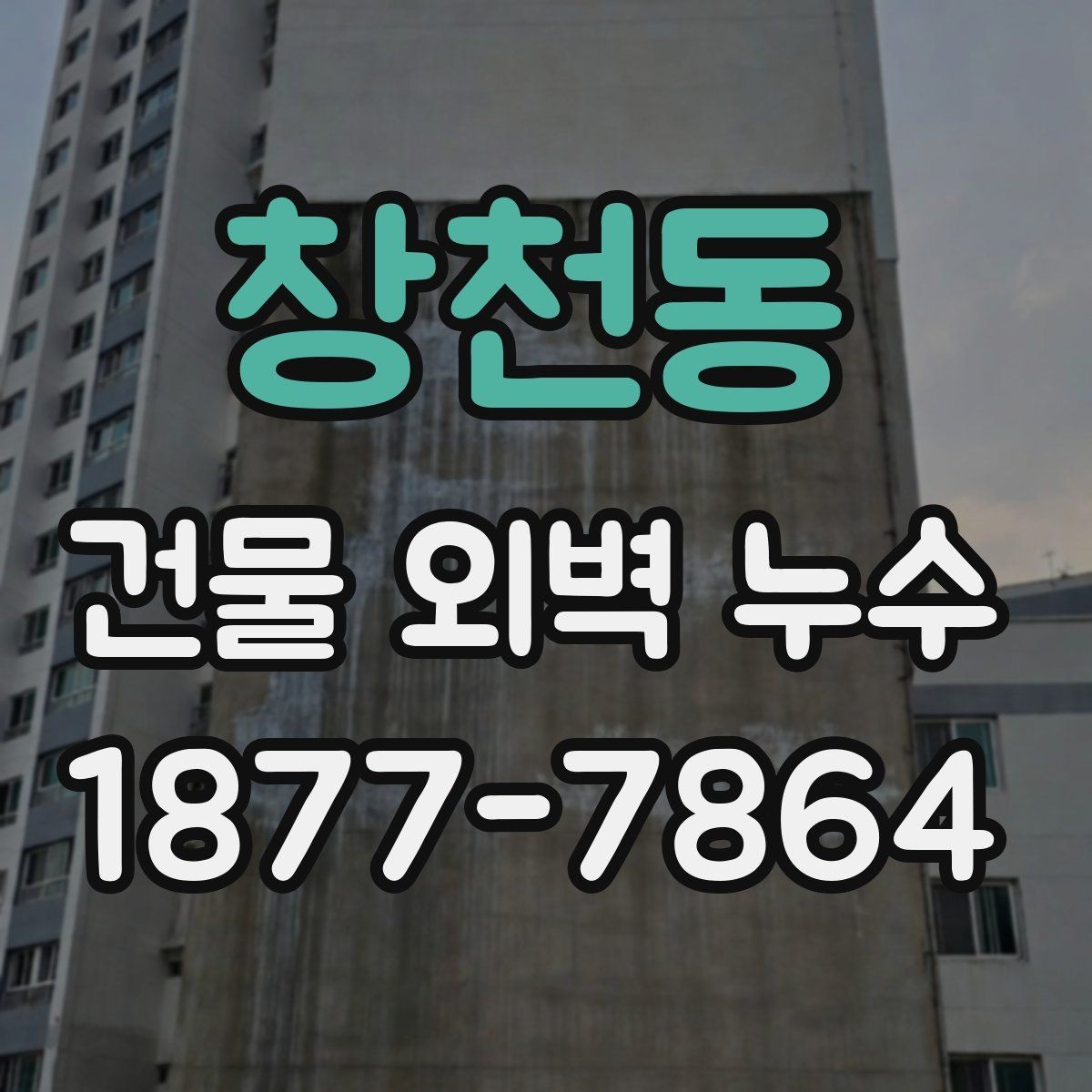 창천동 건물 외벽 누수 장기 관리에 필요한 항목