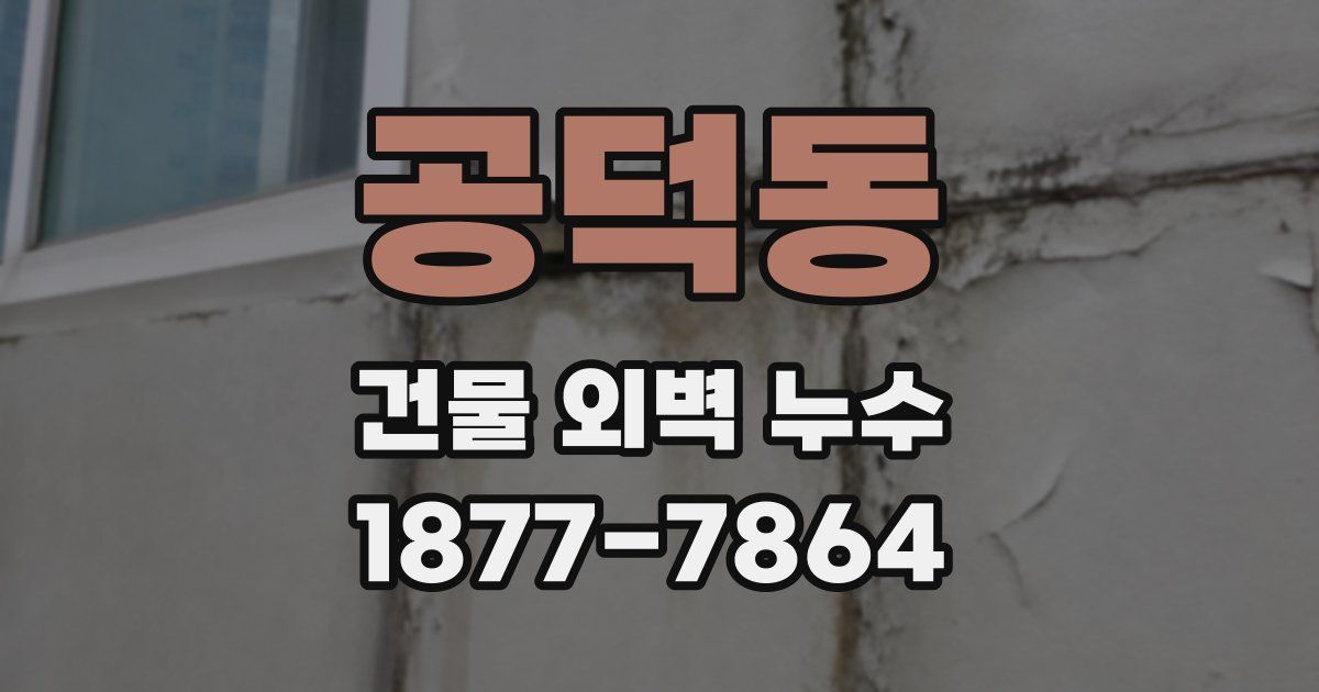 공덕동 건물 외벽 누수