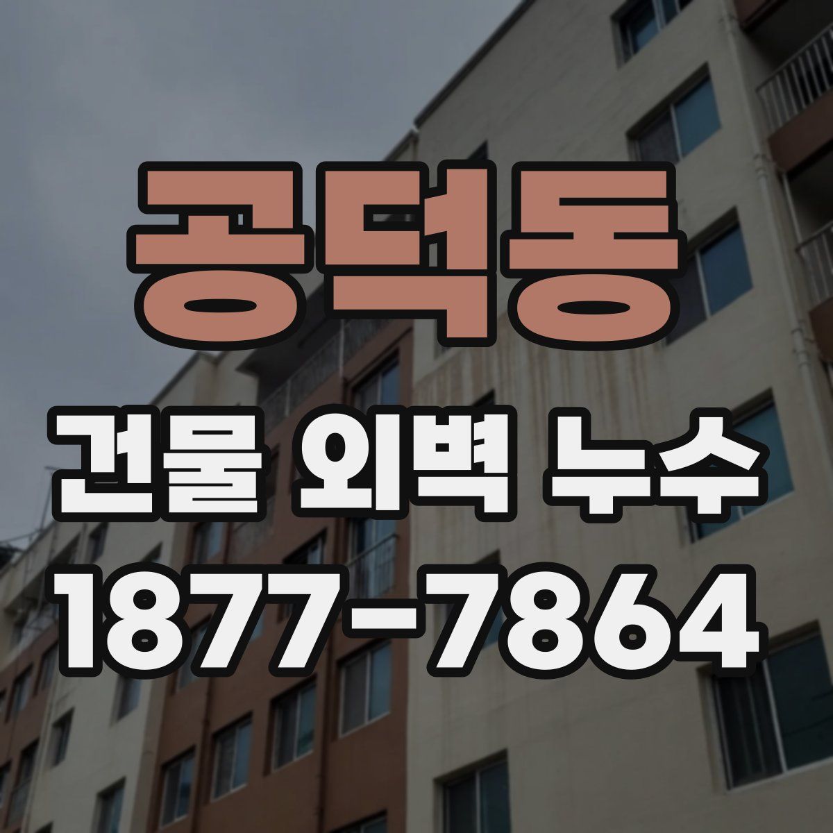 공덕동 건물 외벽 누수