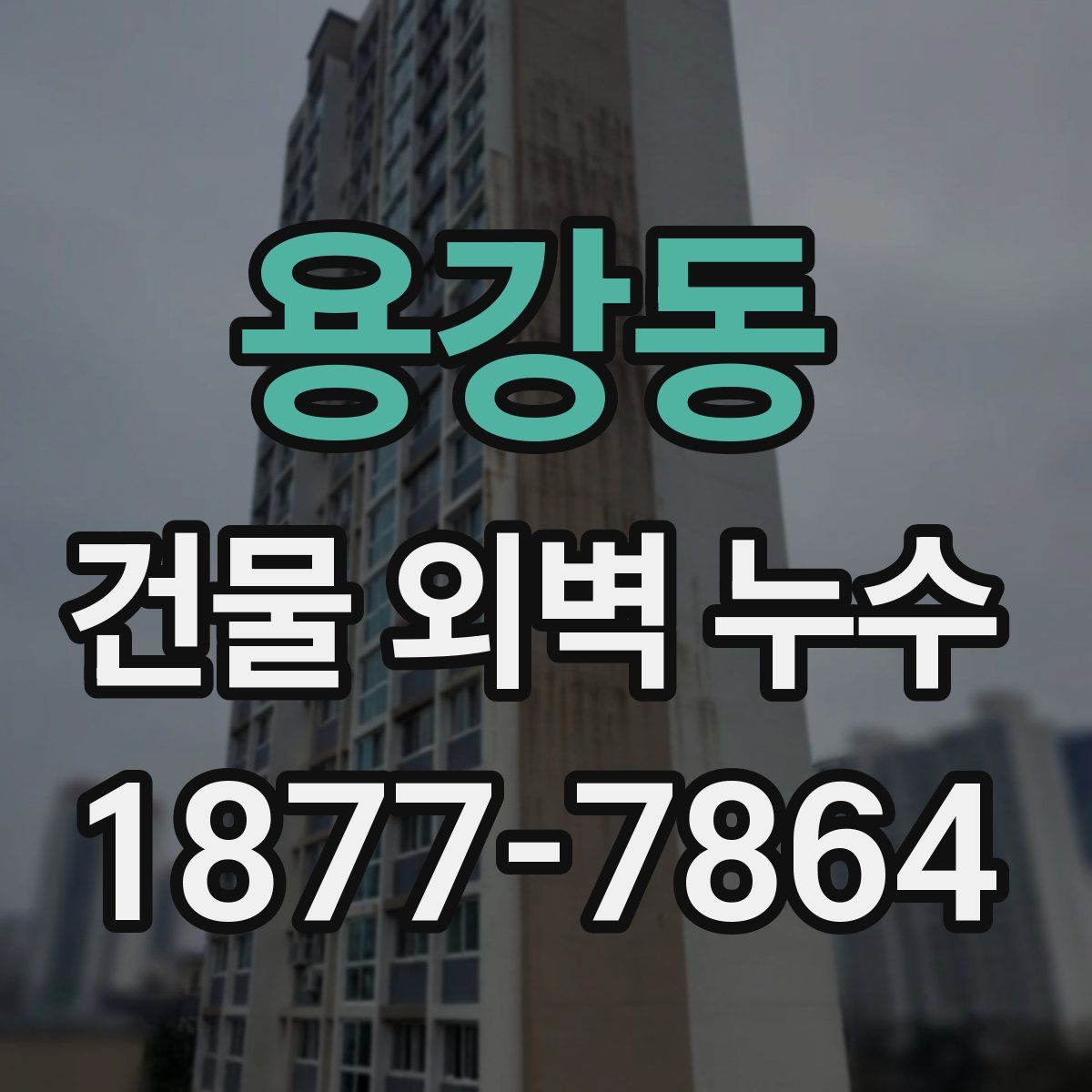용강동 건물 외벽 누수