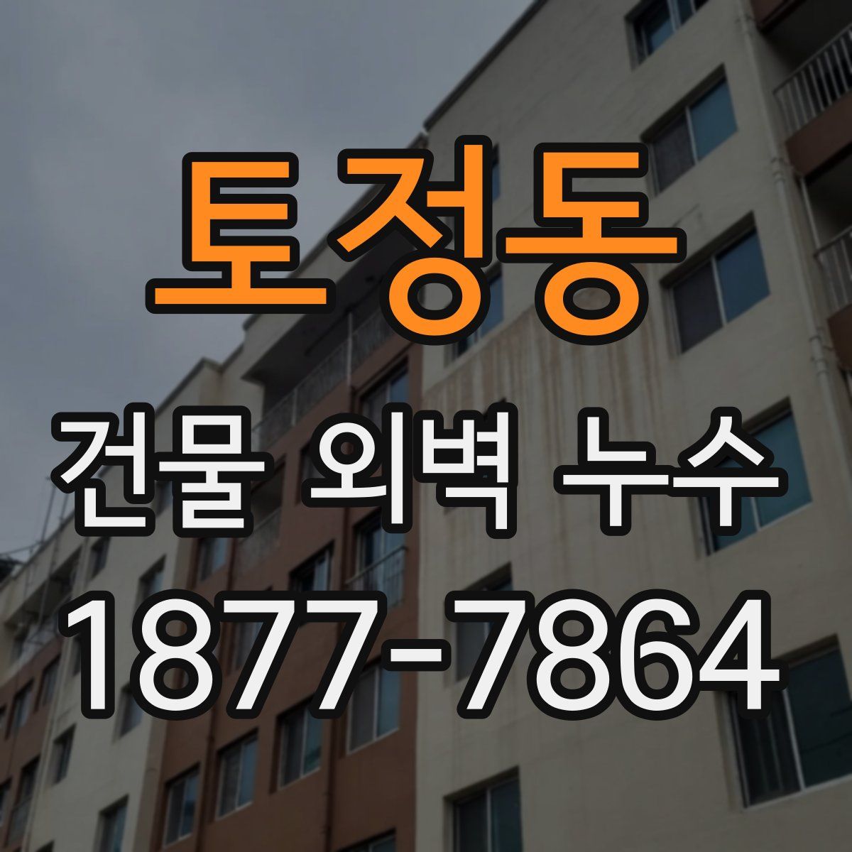 토정동 건물 외벽 누수
