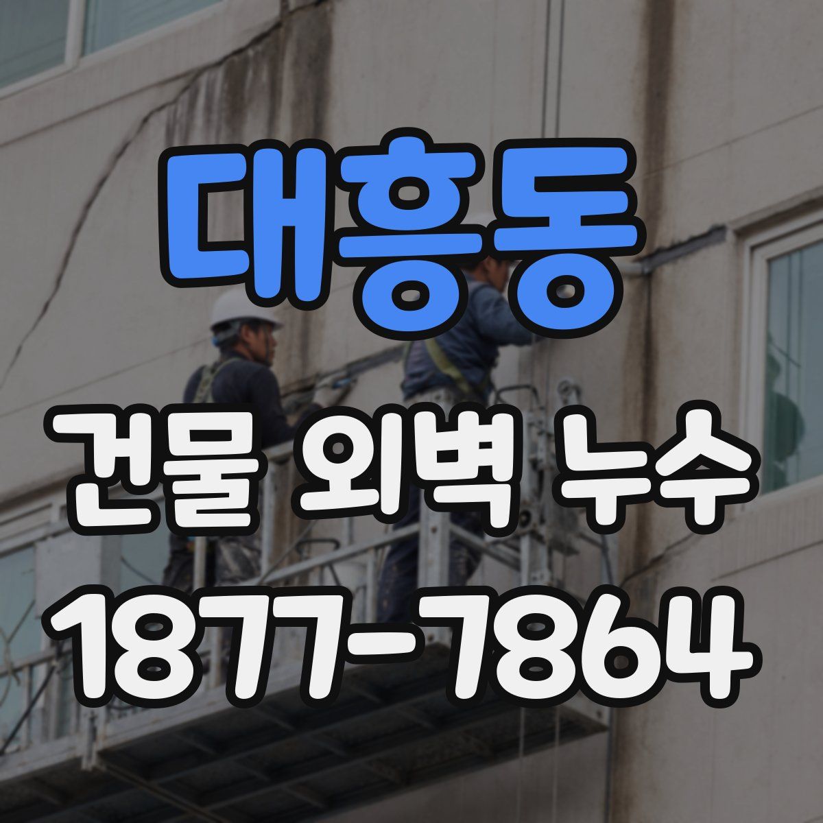 대흥동 건물 외벽 누수