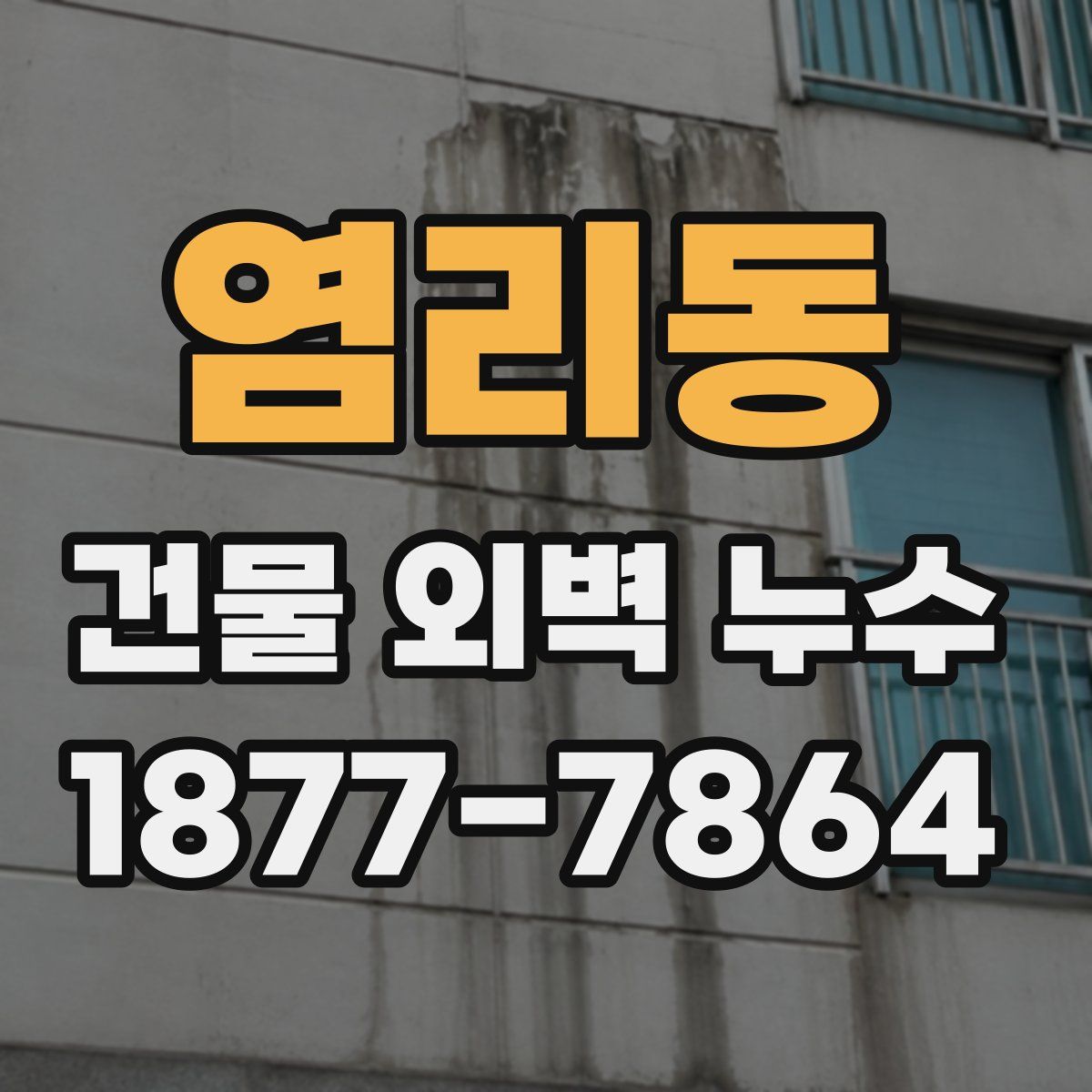 염리동 건물 외벽 누수