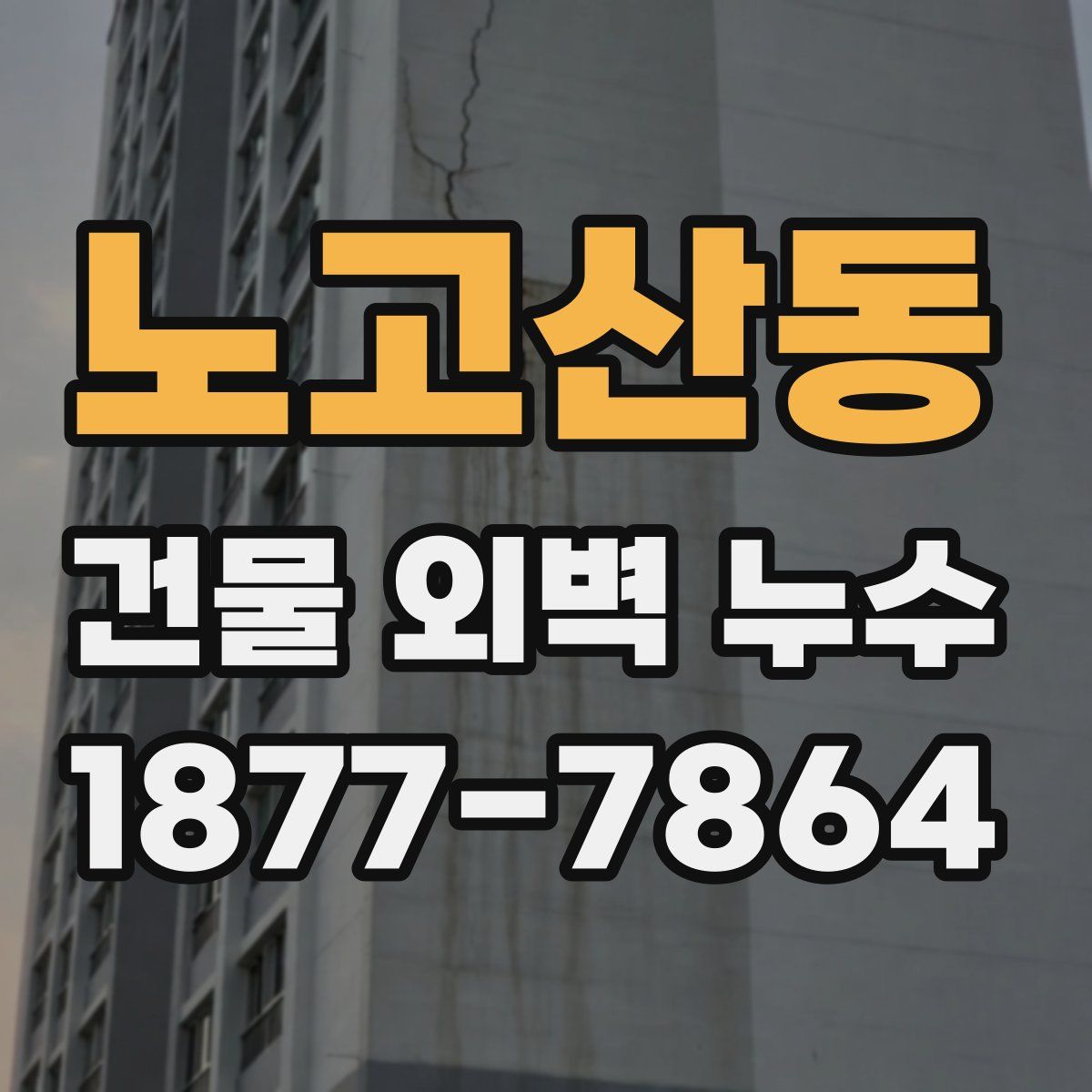 노고산동 건물 외벽 누수