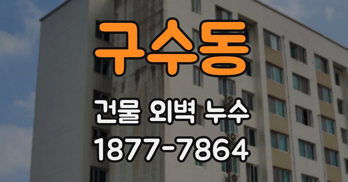 구수동 건물 외벽 누수