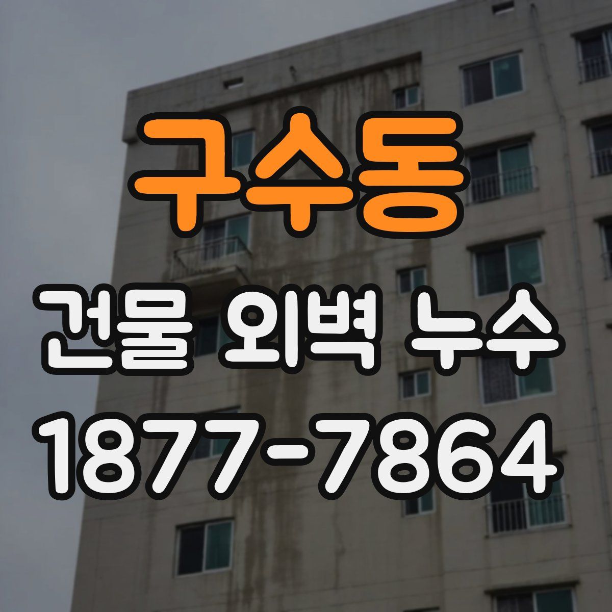 구수동 건물 외벽 누수
