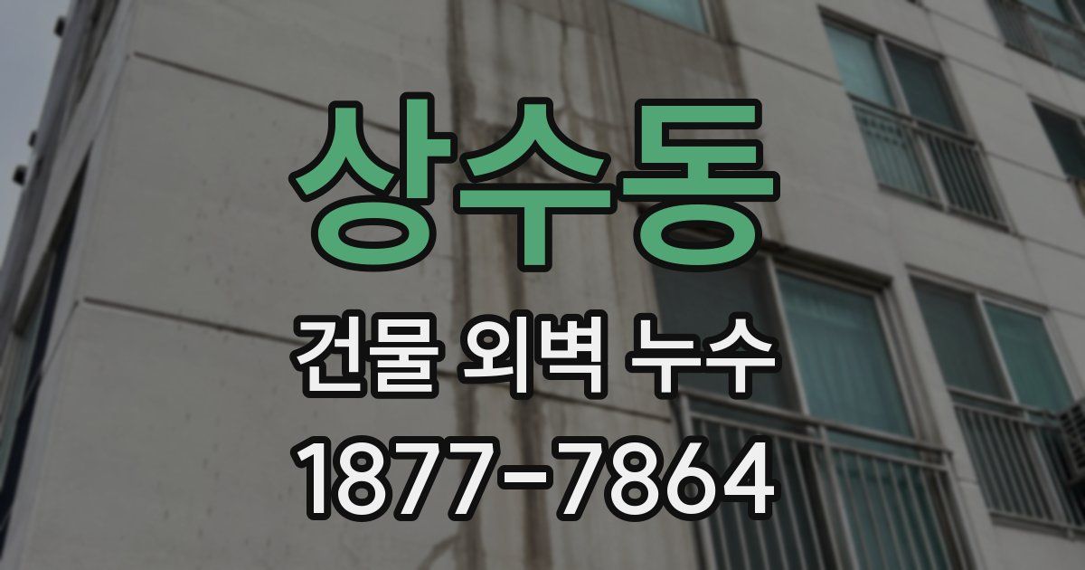 상수동 건물 외벽 누수
