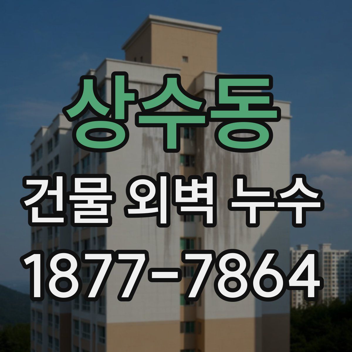 상수동 건물 외벽 누수