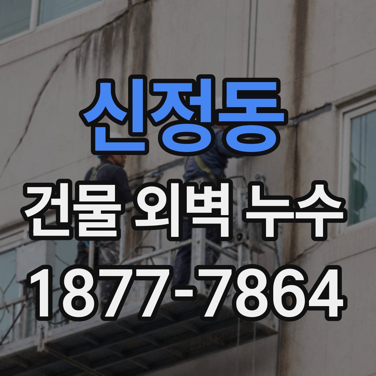 신정동 건물 외벽 누수