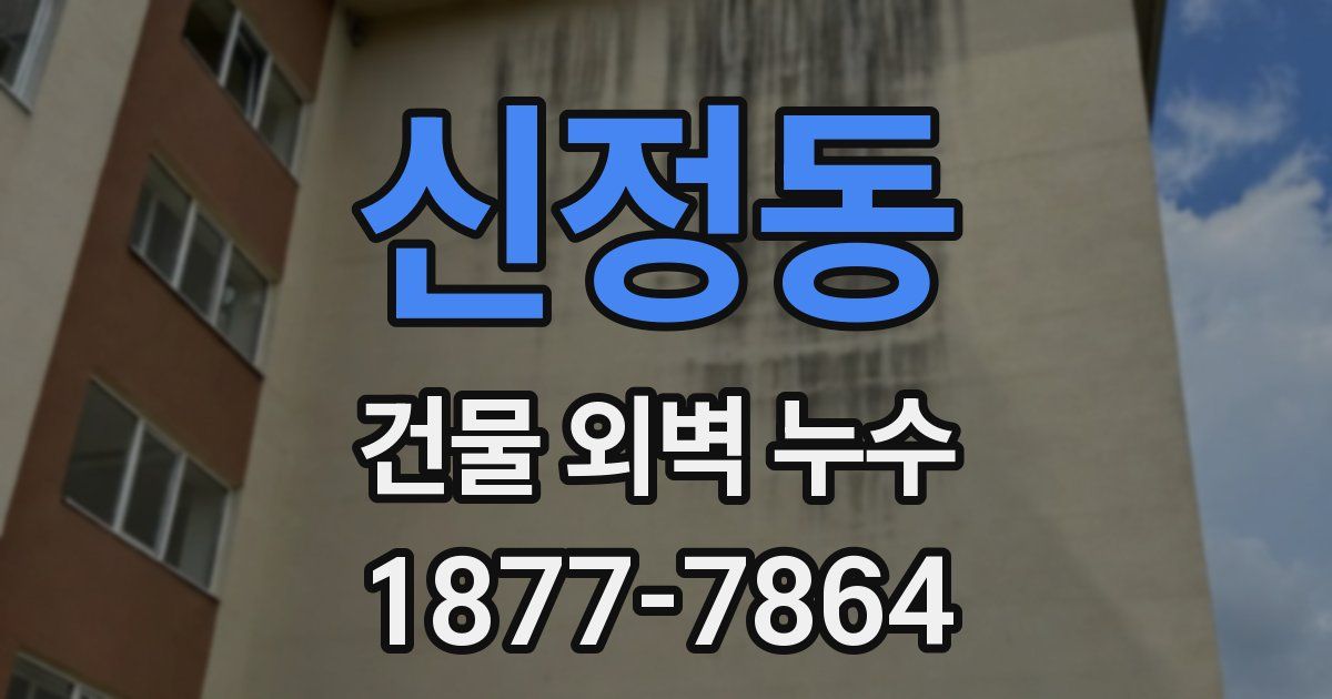 신정동 건물 외벽 누수
