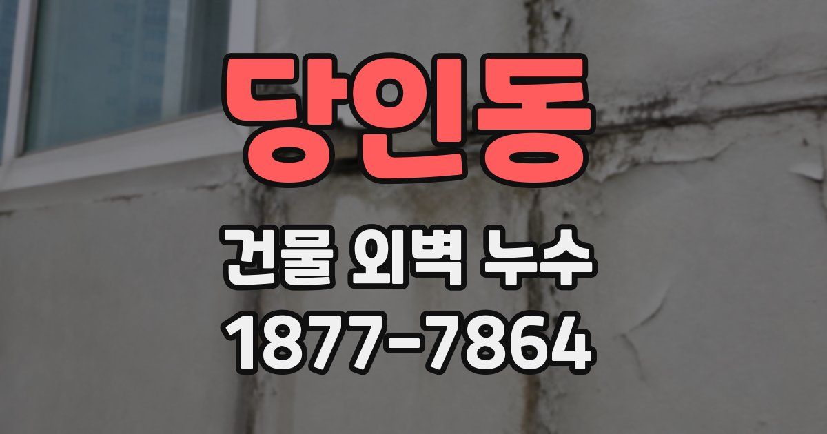 당인동 건물 외벽 누수