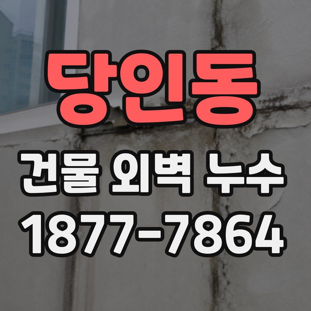 당인동 건물 외벽 누수