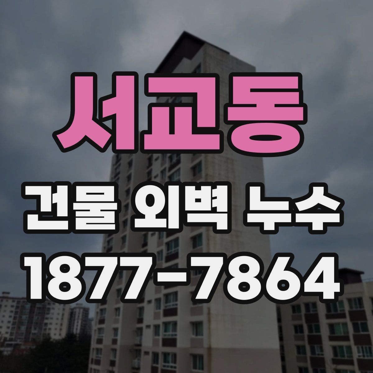 서교동 건물 외벽 누수 원인과 점검 단계