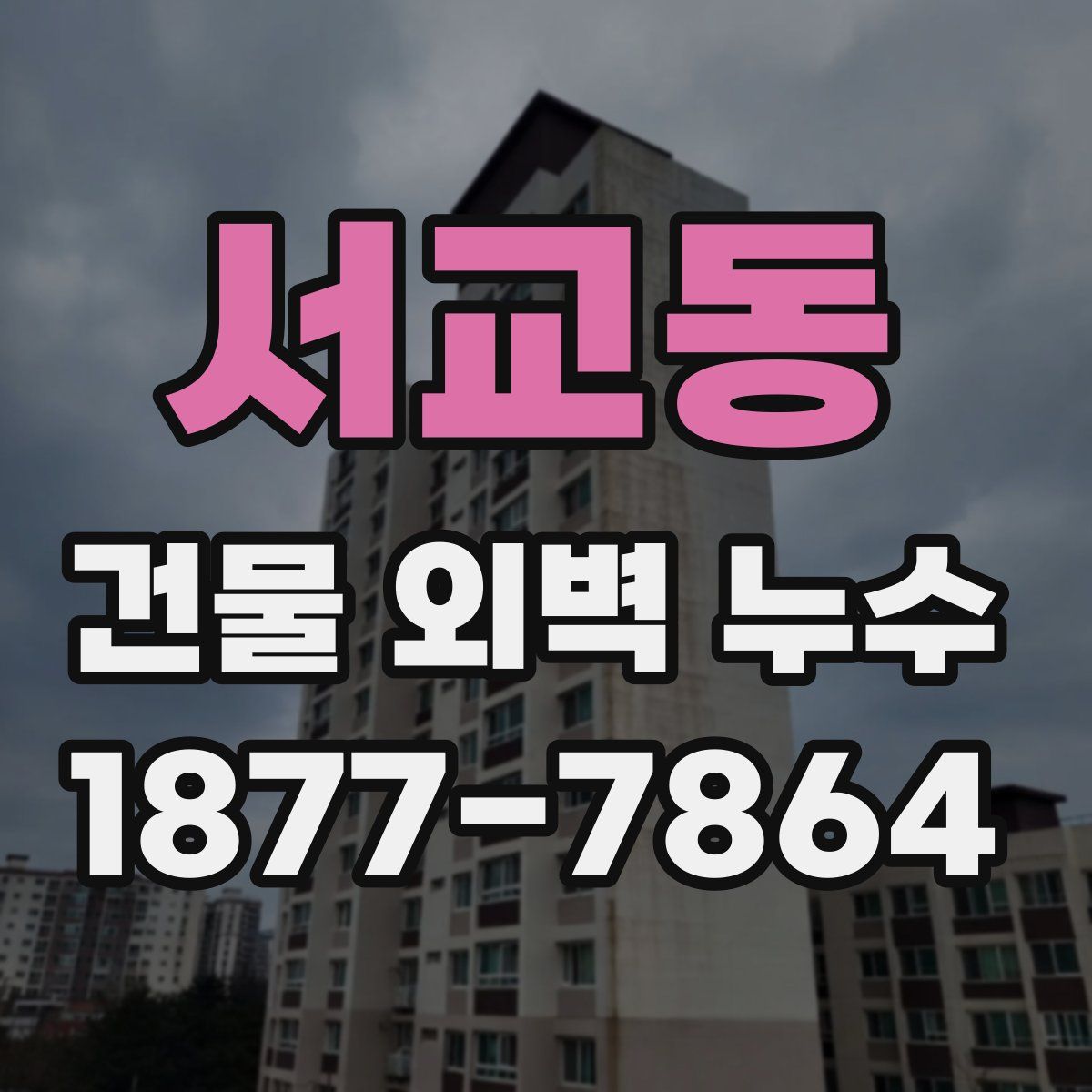 서교동 건물 외벽 누수