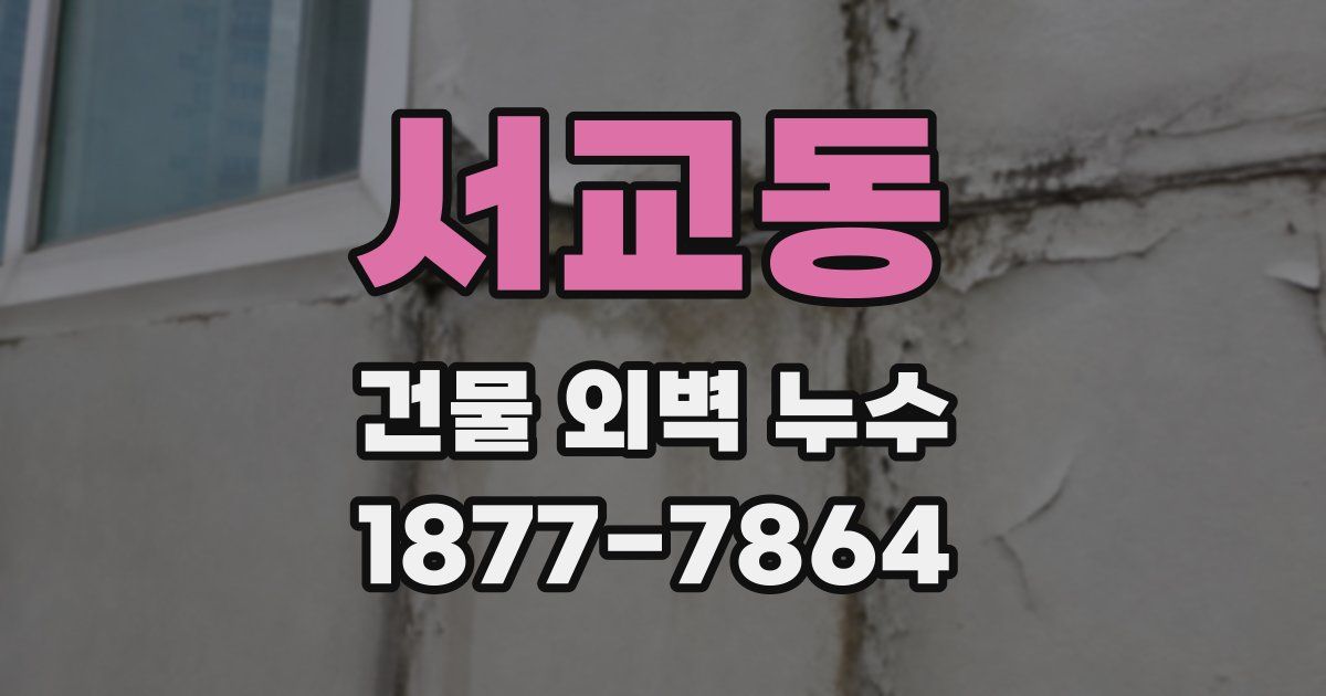 서교동 건물 외벽 누수