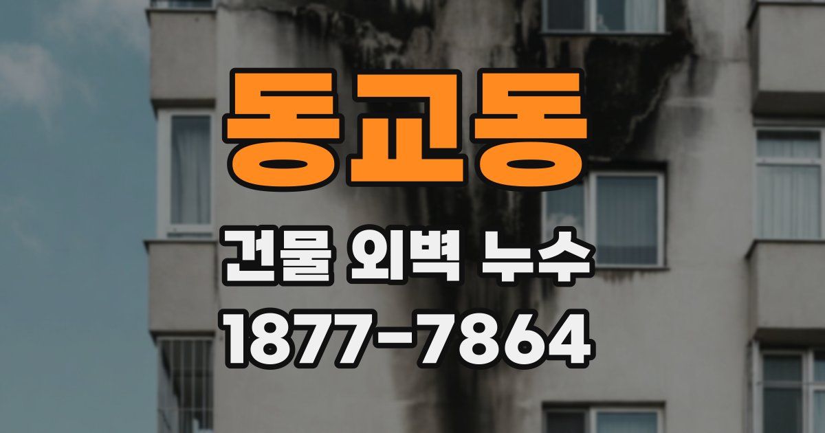동교동 건물 외벽 누수