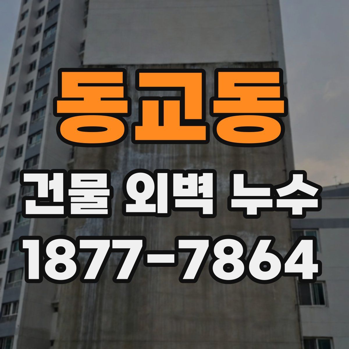 동교동 건물 외벽 누수