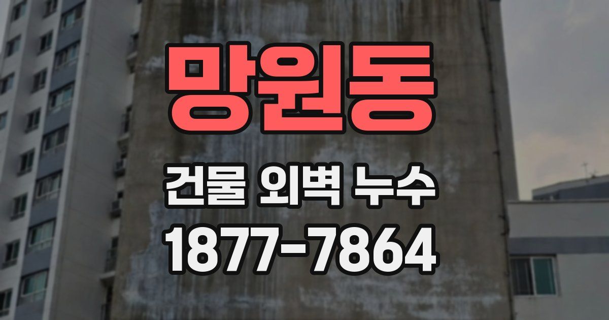 망원동 건물 외벽 누수