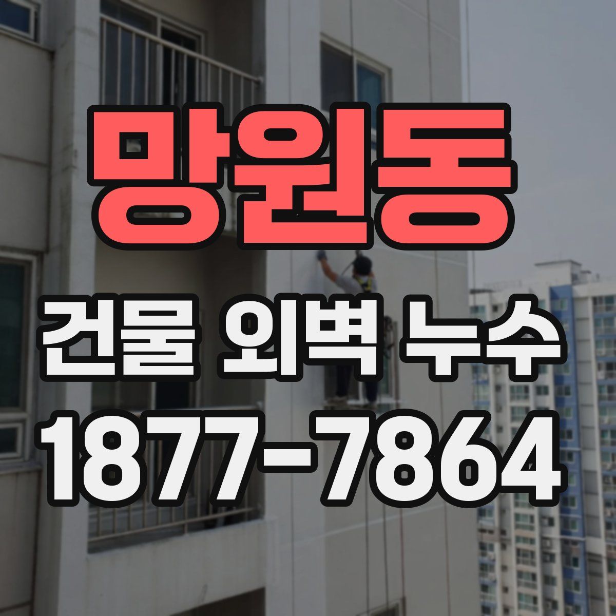 망원동 건물 외벽 누수