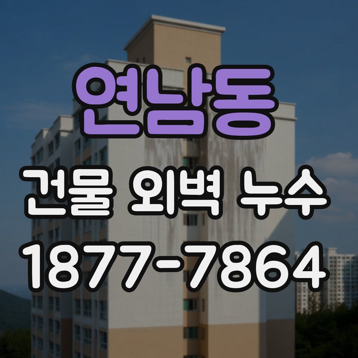 연남동 건물 외벽 누수
