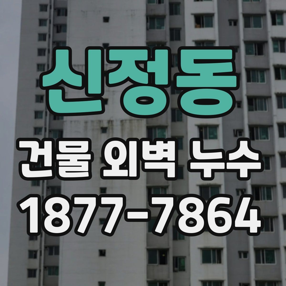 신정동 건물 외벽 누수 발생 위치별 진단 포인트