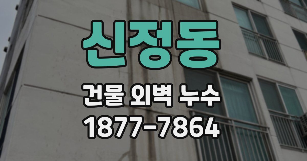 신정동 건물 외벽 누수