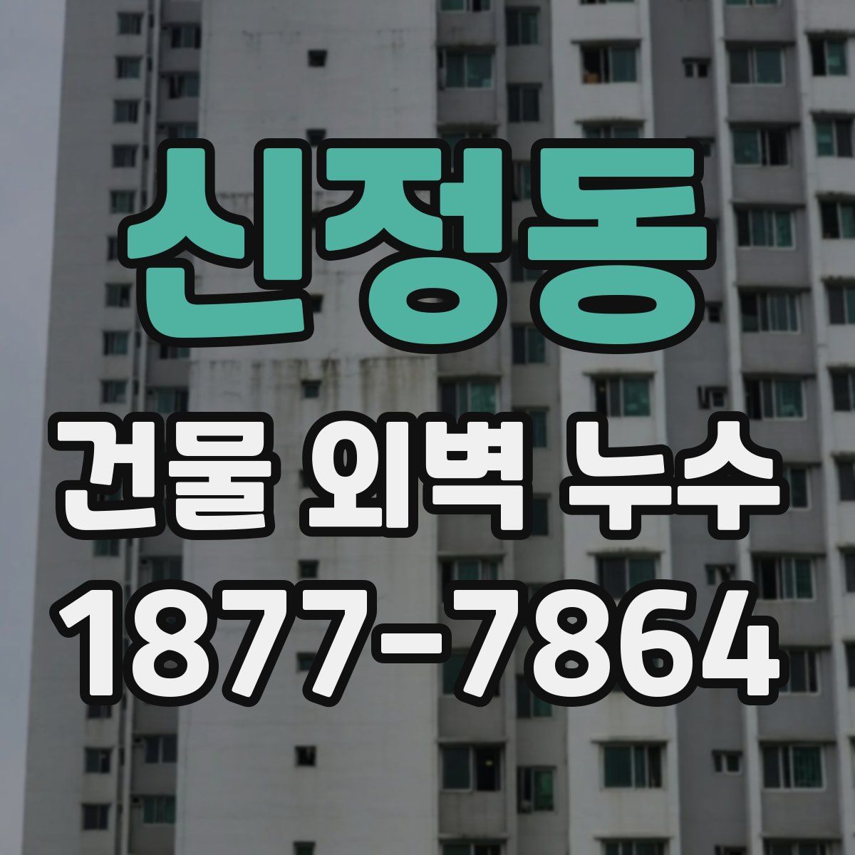 신정동 건물 외벽 누수