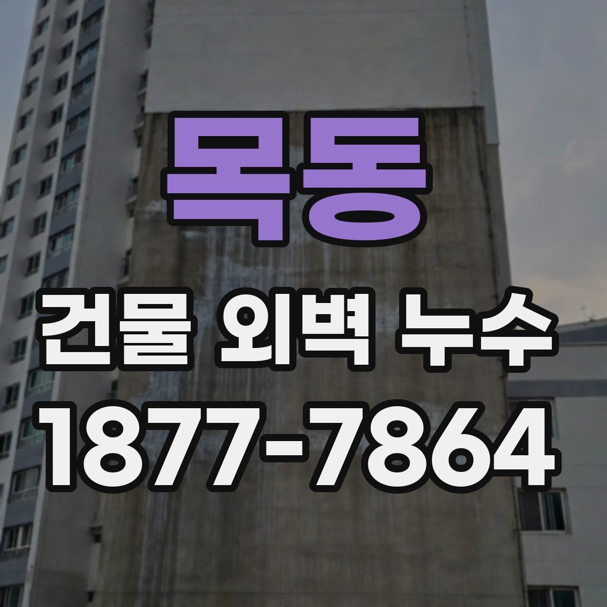 목동 건물 외벽 누수 보수 견적 차이를 만드는 요소