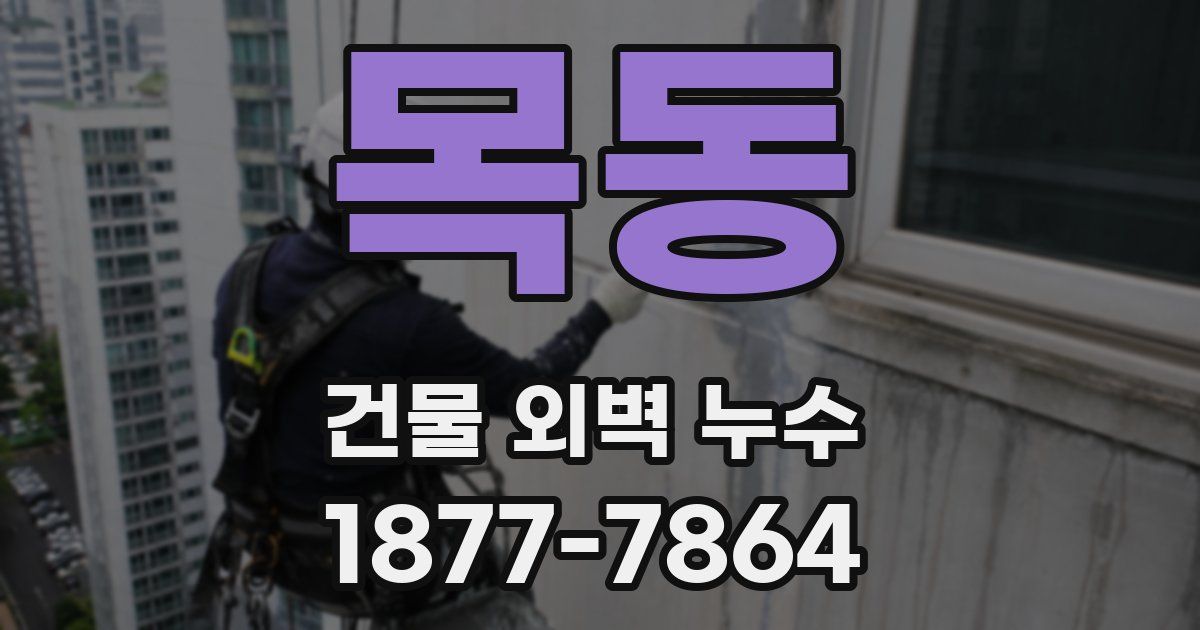 목동 건물 외벽 누수