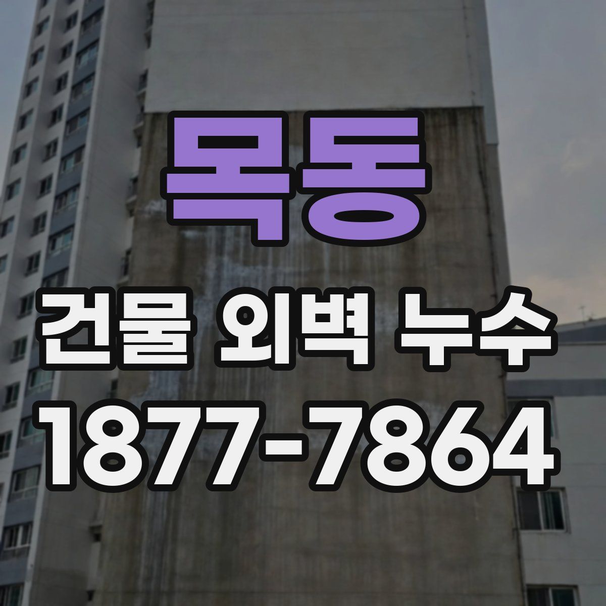 목동 건물 외벽 누수