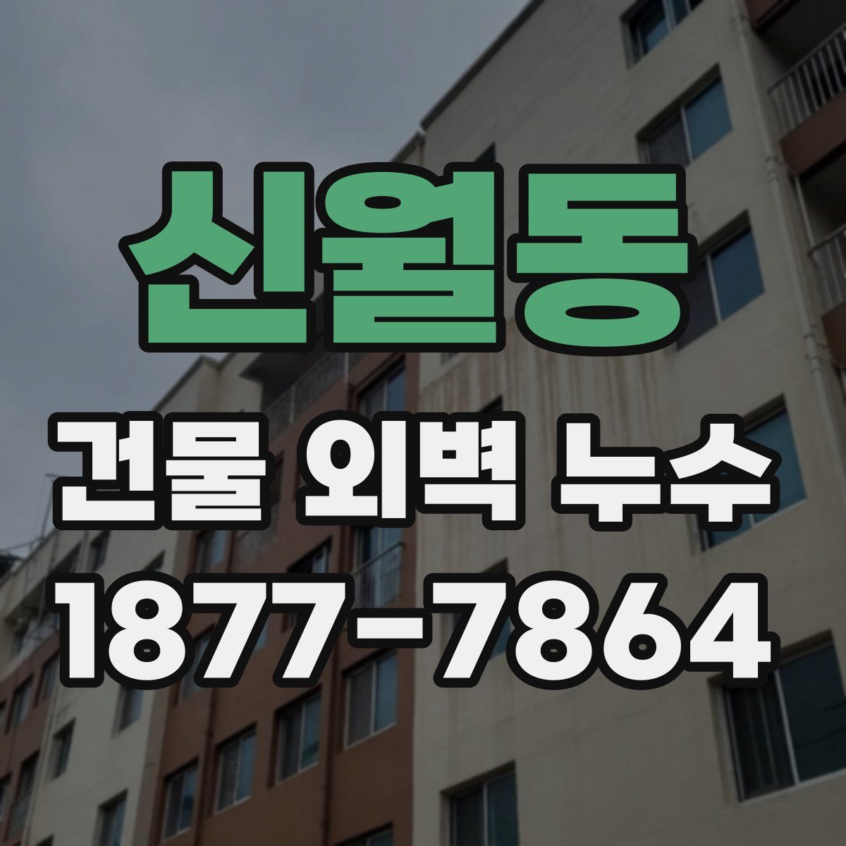 신월동 건물 외벽 누수