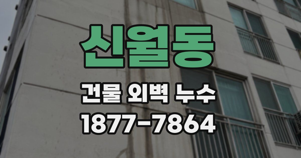 신월동 건물 외벽 누수