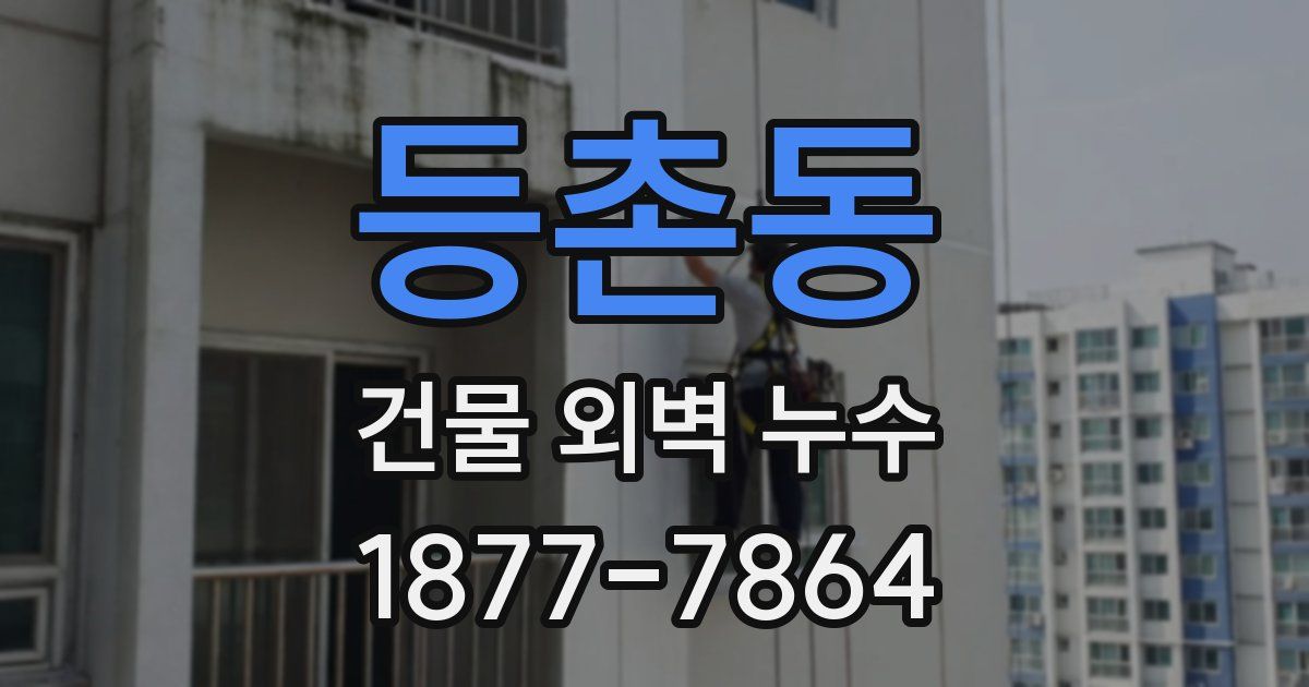 등촌동 건물 외벽 누수