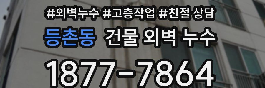 등촌동 건물 외벽 누수