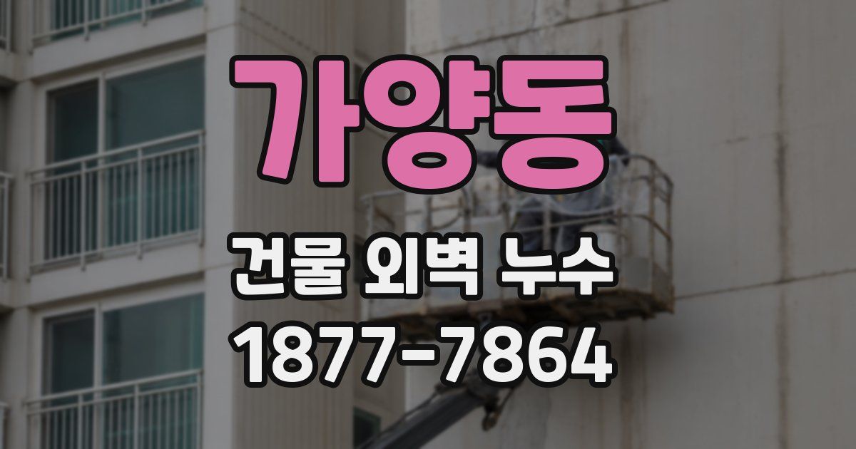 가양동 건물 외벽 누수