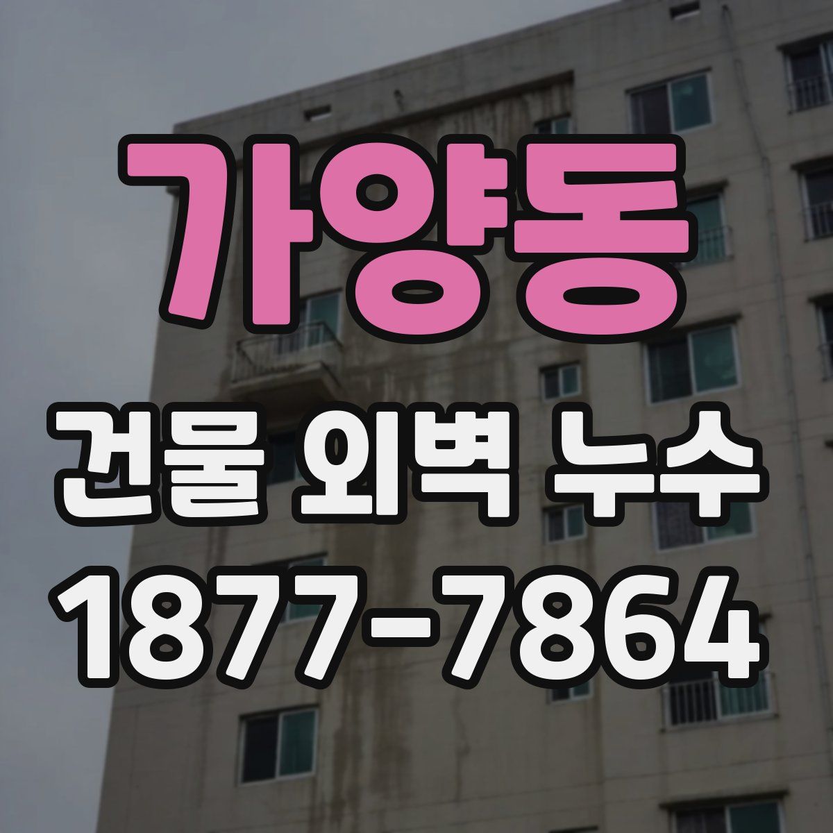 가양동 건물 외벽 누수