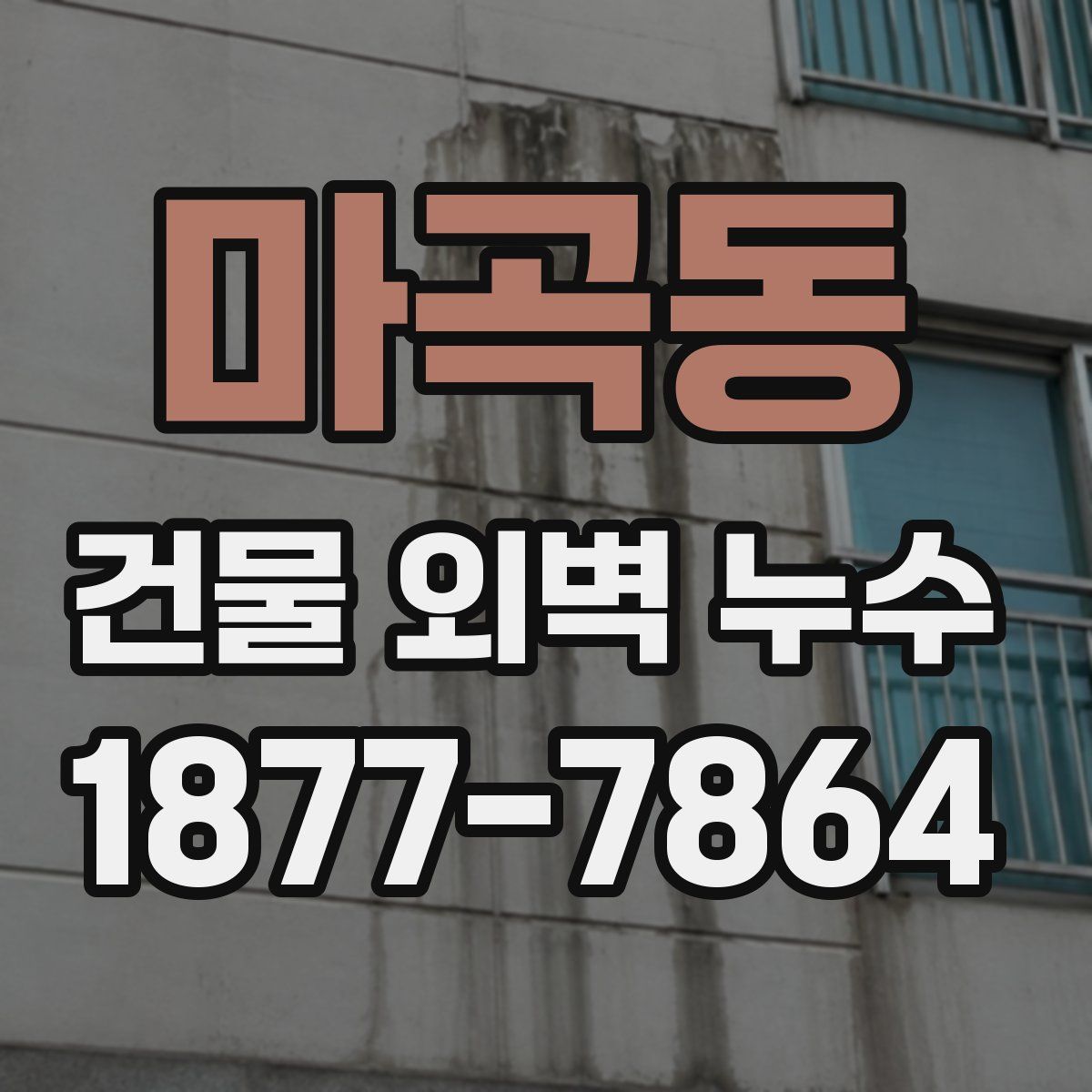 마곡동 건물 외벽 누수