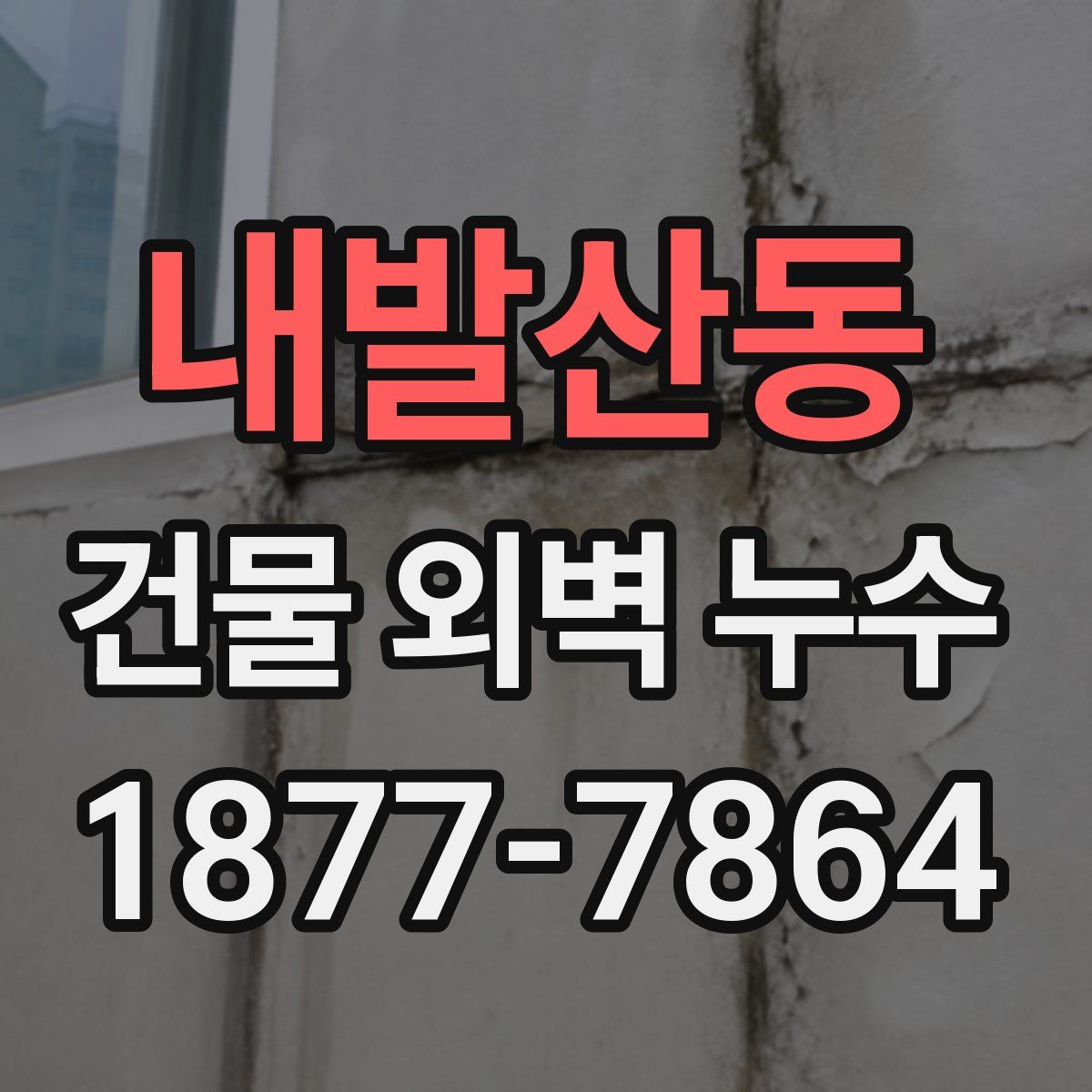 내발산동 건물 외벽 누수