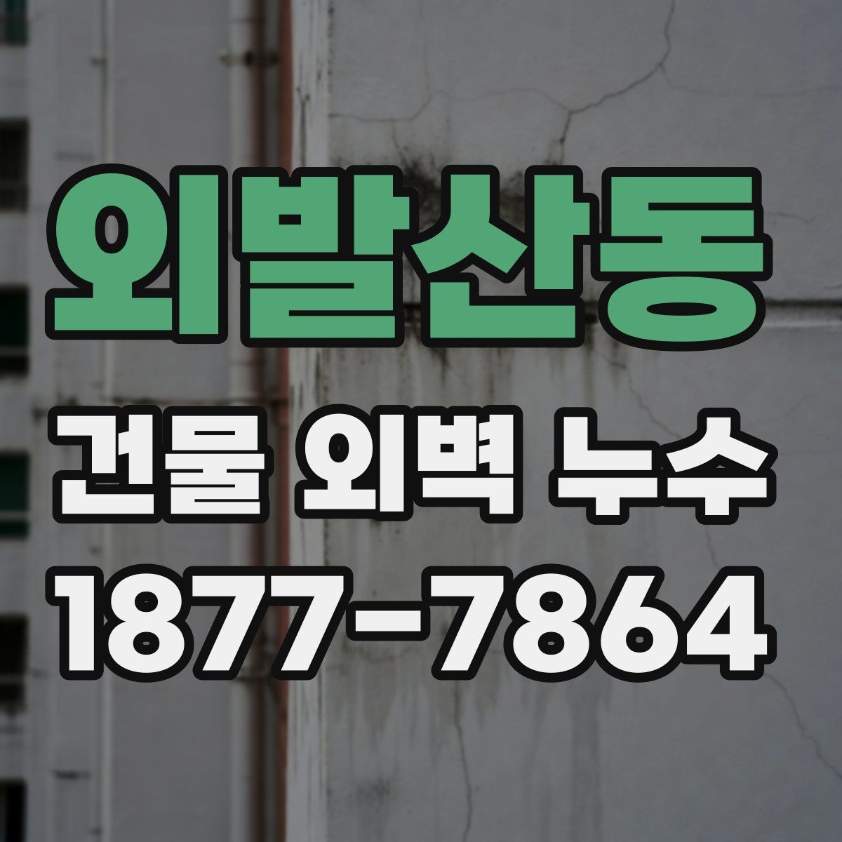 외발산동 건물 외벽 누수