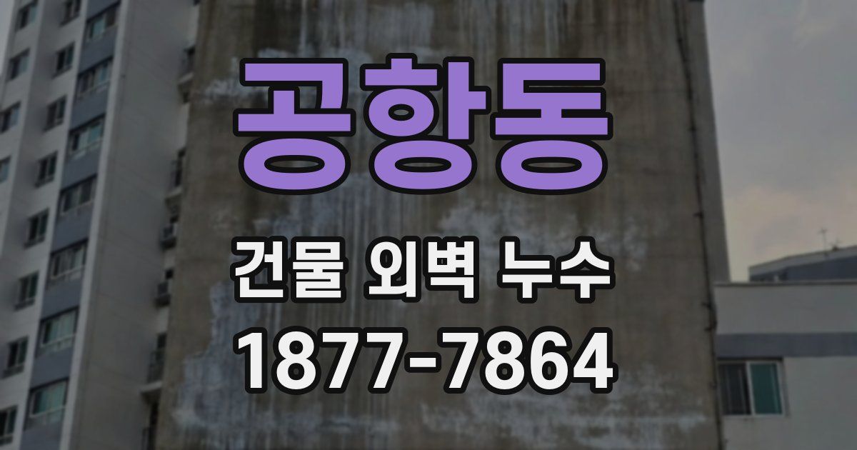 공항동 건물 외벽 누수
