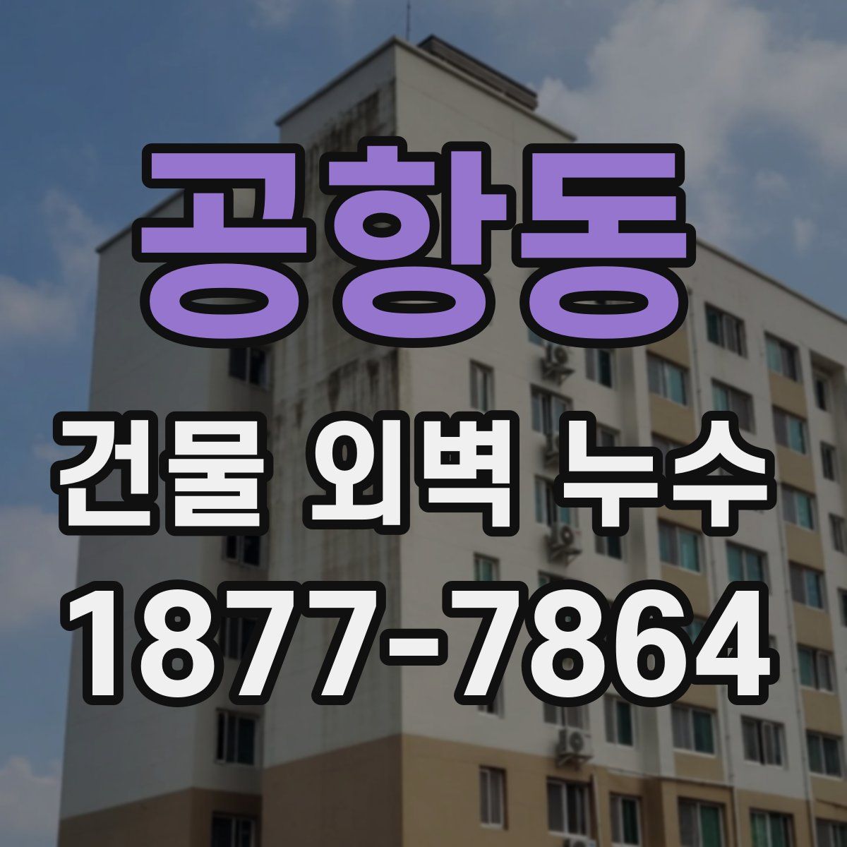 공항동 건물 외벽 누수