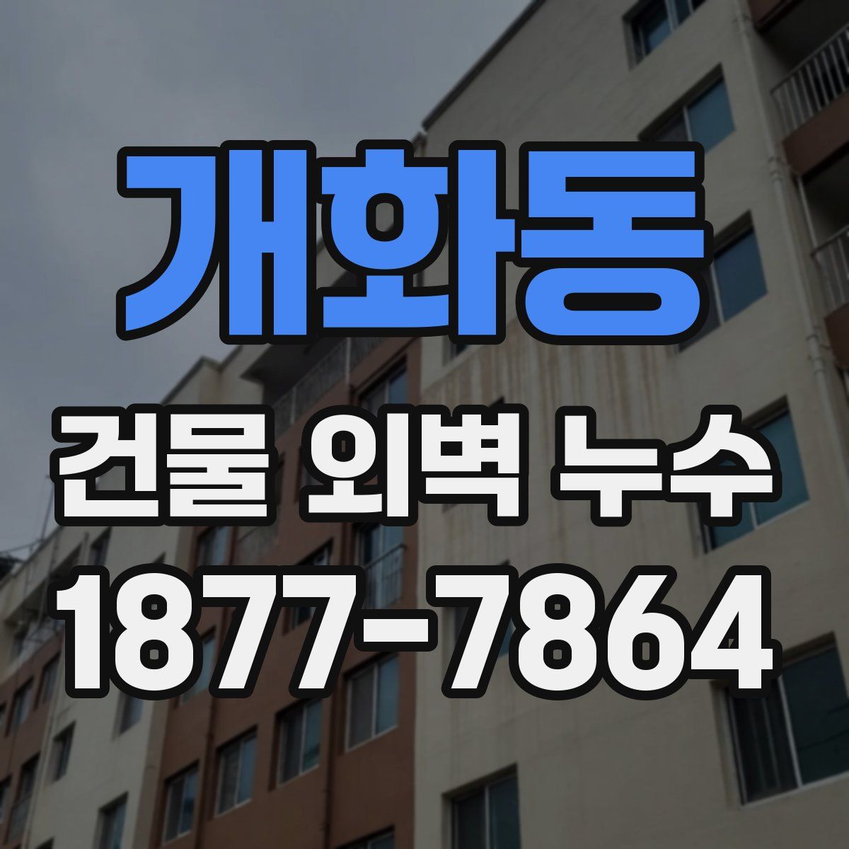 개화동 건물 외벽 누수