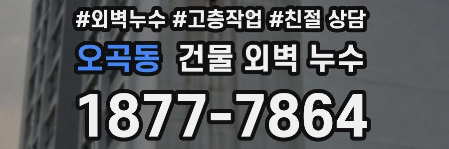 오곡동 건물 외벽 누수