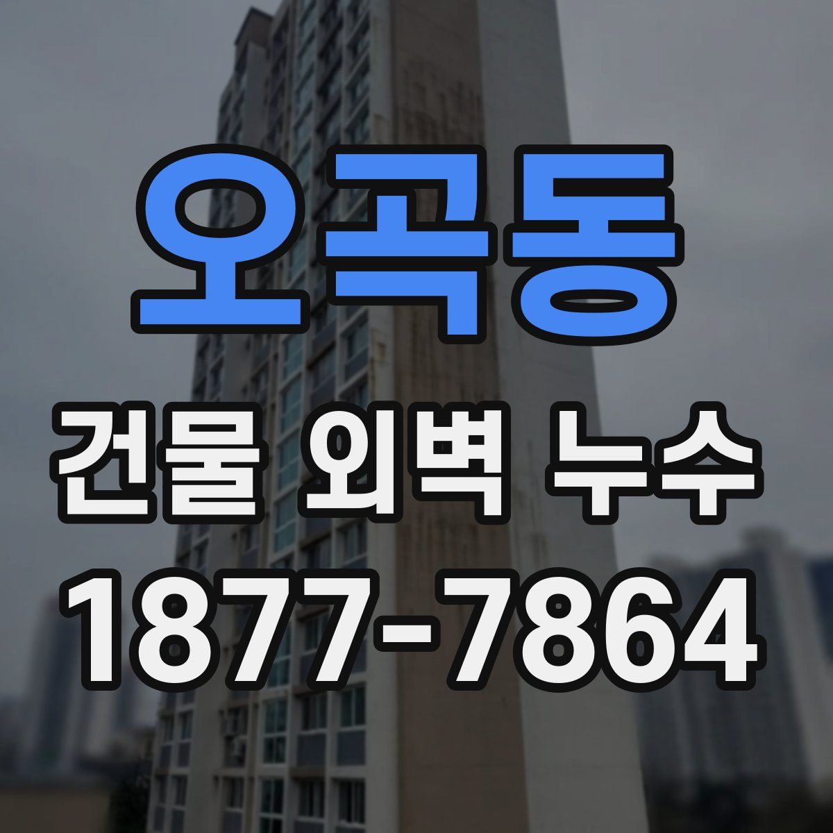오곡동 건물 외벽 누수
