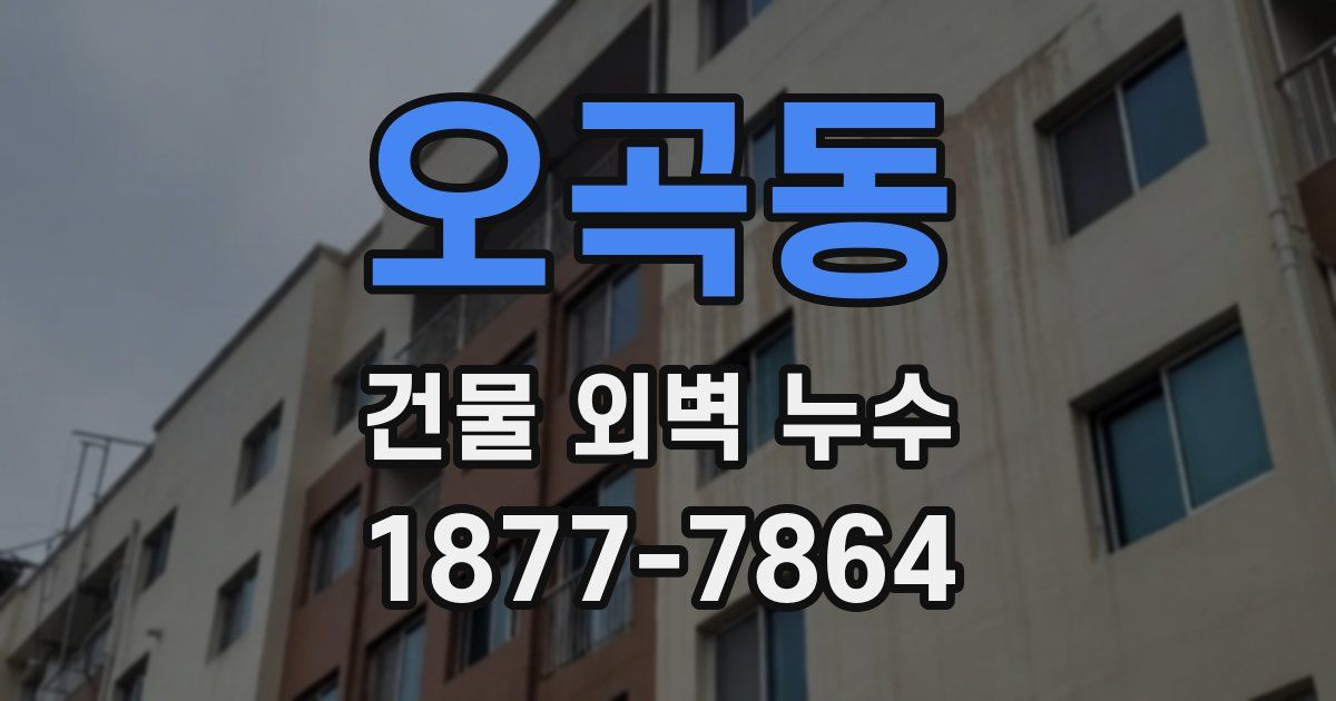 오곡동 건물 외벽 누수