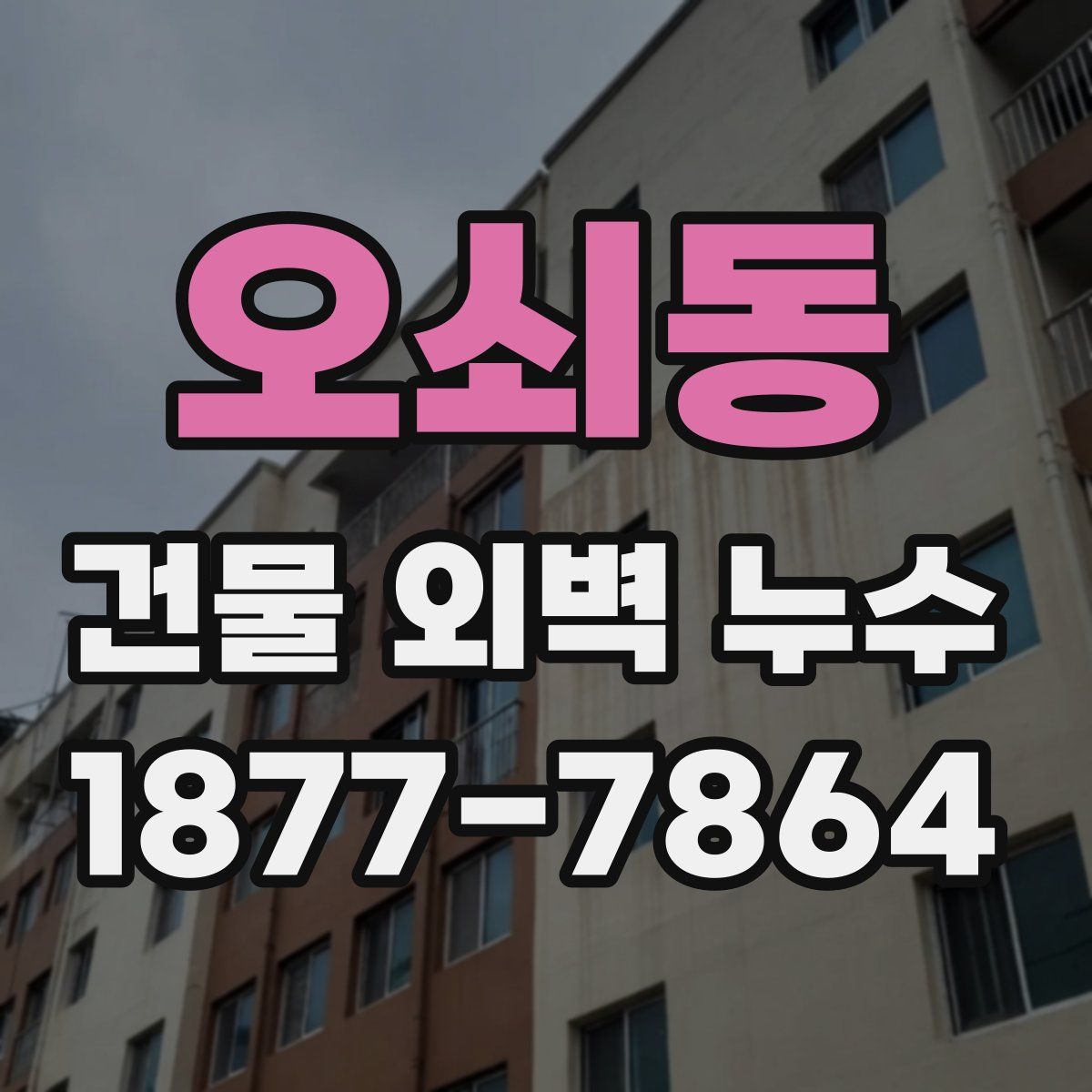 오쇠동 건물 외벽 누수
