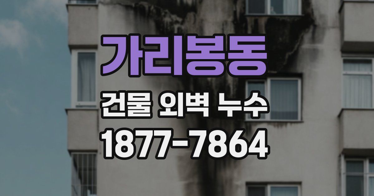 가리봉동 건물 외벽 누수